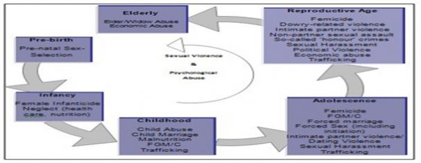 What Is Gender Based Violence Explain With Life Cycle Approach Optimize Ias