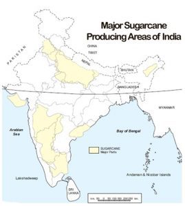 Sugarcane - Optimize IAS