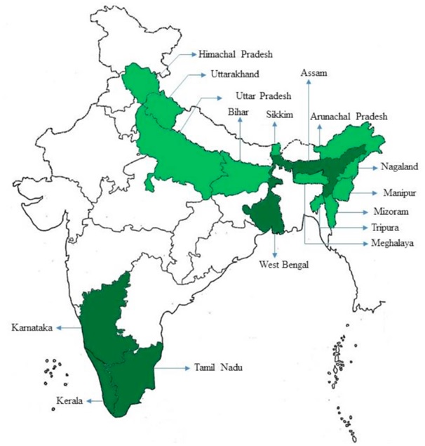 Tea Producing States In India Map | atelier-yuwa.ciao.jp