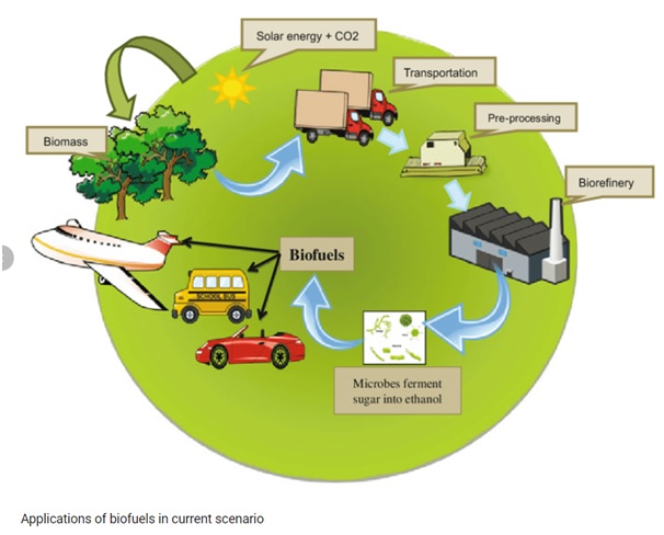 Biofuels Optimize Ias