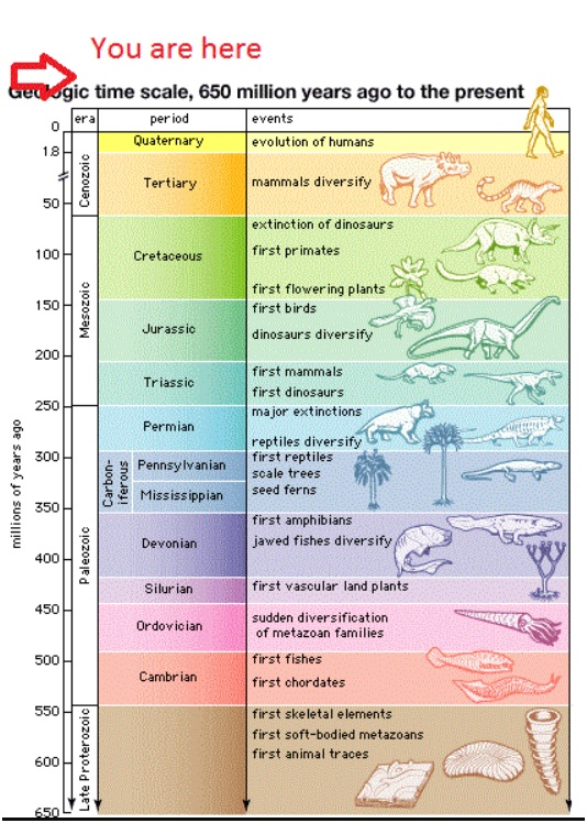 International Commission On Stratigraphy - Optimize IAS