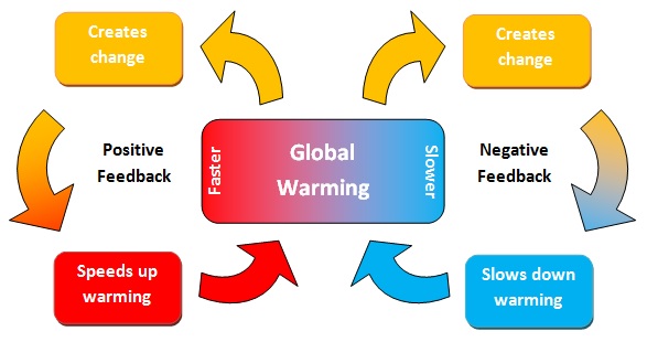 positive feedback loop examples