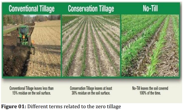 zero-tillage-optimize-ias