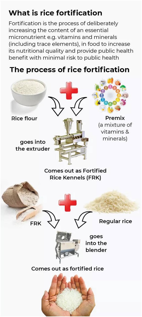 fortified-rice-kernels-hexagon-nutrition-ltd