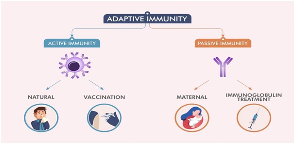 Immunity - Optimize IAS