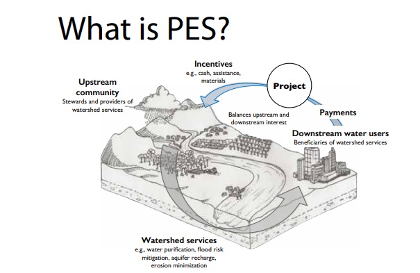 Payments For Ecosystem Services PES Optimize IAS