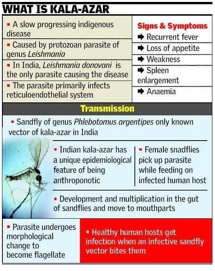 Eleven districts of Bengal reported at least 65 cases of black fever or ...