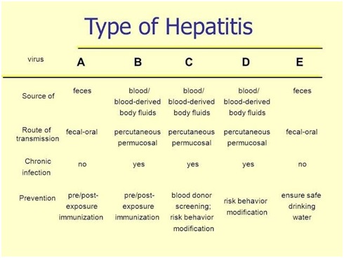 Who Killed Beethoven? Hepatitis B, Says Forensic DNA Analysis ...